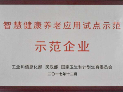 安徽智慧健康養(yǎng)老應(yīng)用試點示范申報條件